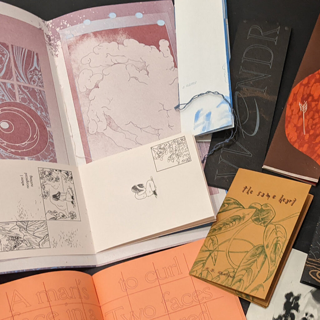Photograph of thoughtfully arranged zines, both open and closed, in a variety of colors.